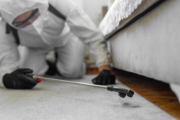 Professional Bed Bug Control technician working in Terrell County County, GA
